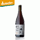 ヨハネス・トラプル　ユニ・シックス　2023