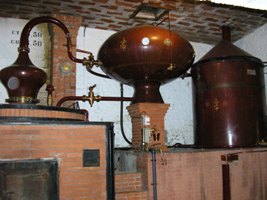 株式会社日本グランド・シャンパーニュ / ダニエル・ブージュ エンペラーXO